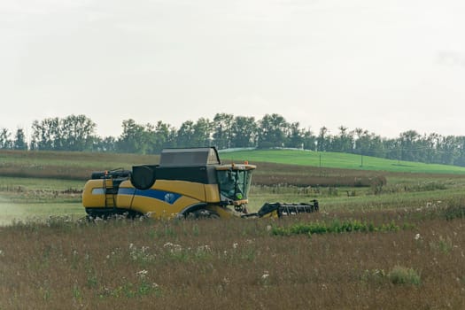 Russia, Bryansk-07/23/2018: combine Harvester in the field harvests grain crops. Stock photo.