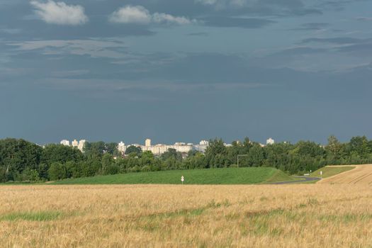 Landscape. Urban surroundings, field and forest. Stock photo.