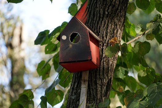 a birdhouse made of plywood, painted red tree with large green foliage