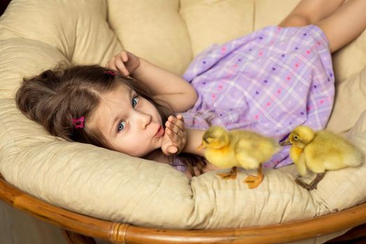 Beautiful little girl sends a kiss. Cute fluffy Easter ducklings walk alongside the girl.