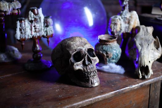 Halloween background Shelves with alchemy tools Skull spiderweb bottle with poison candles Witcher workspace Scarry room