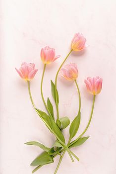 Pink and yellow tulips top view on marble background