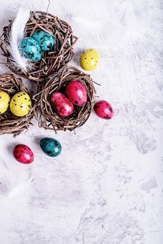 Easter holiday concept. Colored Easter quail eggs with feathers in a nest on gray marble background with copy space
