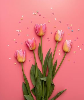 Pink and yellow tulips decorated with small hearts on pink background flat lay top view with copy space