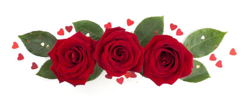 Red rose flowers leaves hearts arrangement isolated on white background, top view, design element for Valentines day