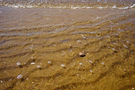 Sea summer vacation background.Seashells on sand.