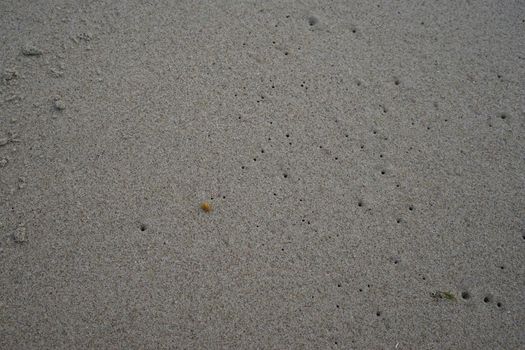 Sandy light natural background of grey sand with flecks of amber.