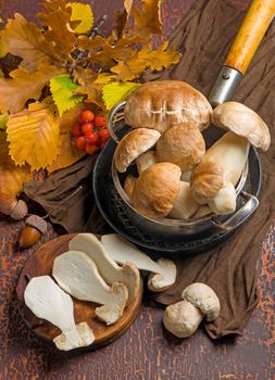 Mushroom Boletus edulis over Wooden Background. Cooking delicious organic mushroom.