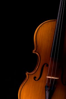 Violin music instrument of orchestra closeup isolated on black