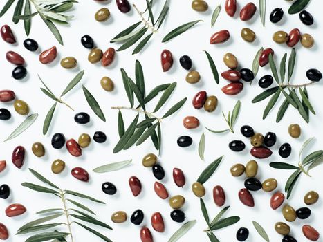 Beautiful pattern with green, black and red olives and olives tree leaves and branches on white background. Mix olive tree fruits and branches as pattern, top view or flat lay.