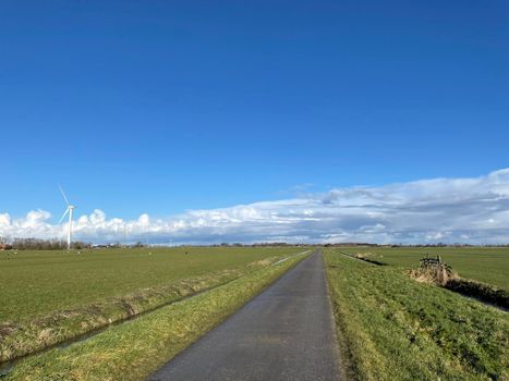 Road through farmland on a winter day around Akkrum in Friesland The Netherlands