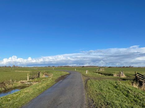 Road through farmland on a winter day around Akkrum in Friesland The Netherlands