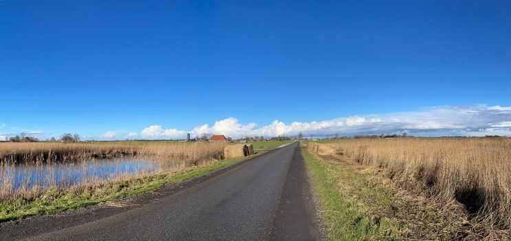 Panorama from reed next to the road around Nes in Friesland The Netherlands