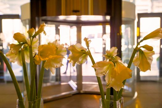 Vase with yellow gladioli against the background of glass doors. Public area lobby.