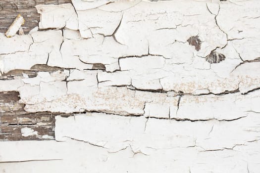 Wood texture with white peeled paint.Vintage shabby background white.