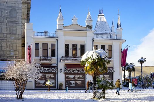 Sukhumi, Abkhazia-January 27, 2017: Urban landscape in winter with snow in the sub-tropics.