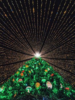 The main Christmas tree of Ukraine.