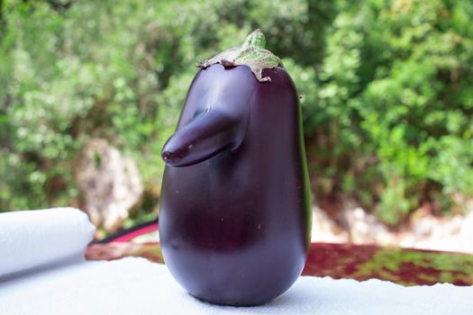Funny purple fresh natural organic vegetable eggplant with long nose