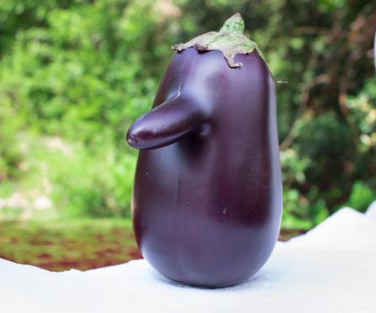 Funny purple fresh organic vegetable eggplant with long nose on green