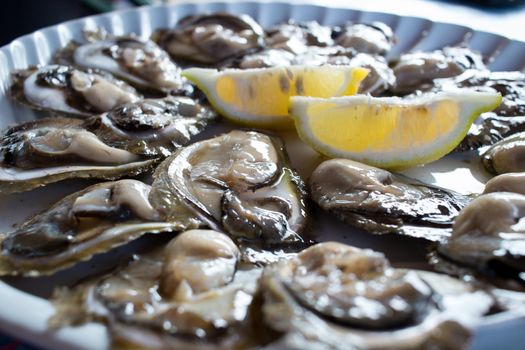 Food plate of fresh natural organic oysters with lemon
