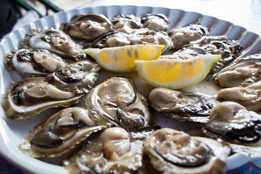Food plate of fresh natural oysters and lemon