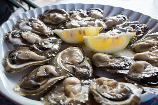 Food plate of fresh organic oysters and lemon