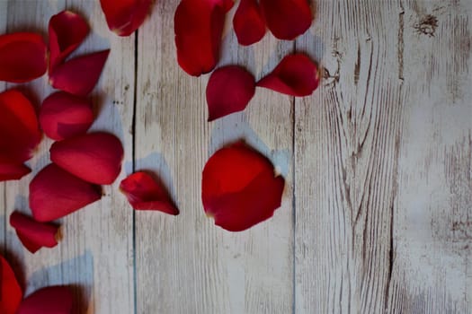 View from above on red rose petals on a textured beige background with copy space