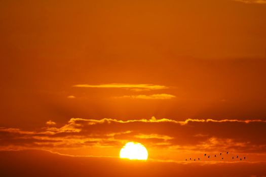 beautiful sunset birds flying red white cloud and orange yellow gold sky