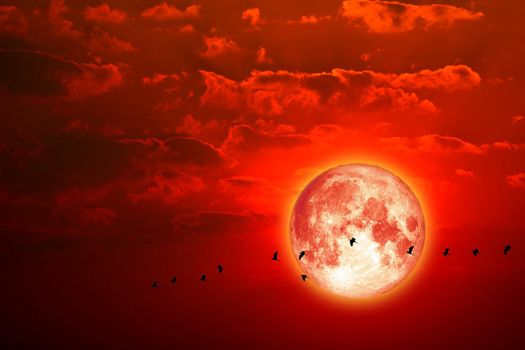 Super blue moon and silhouette birds fly away home in the night sky, Elements of this image furnished by NASA