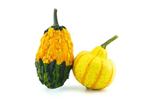 Colorful pumpkins and squashes isolated on white background