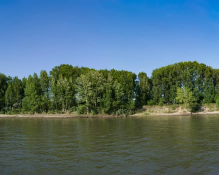 Natural landscape with the coastline of the river overgrown with green trees