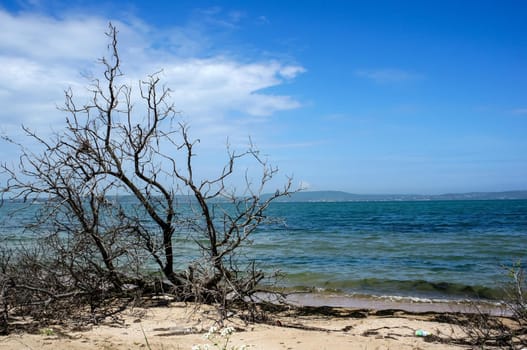 Seascape with the coastline of the Azov sea.