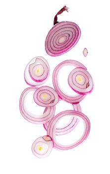 Red onion rings isolated on the white