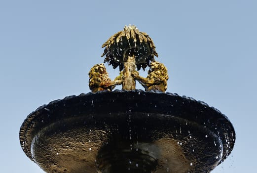 VITERBO-ITALY- august 2020 -detail of Palazzo dei Priori fountain ,two bronze lions with forelegs resting on palm , symbol of city coat of arms 