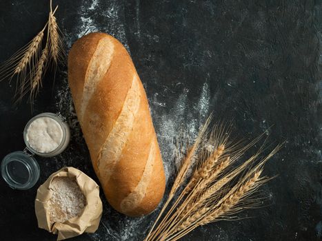 British White Bloomer or European sourdough Baton loaf bread on black background. Fresh loaf bread and glass jar with sourdough starter, floer in paper bag and ears. Top view. Copy space
