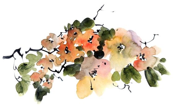 Watercolor and ink illustration of tree branch in bloom - with flowers, buds and leaves. Oriental traditional painting in style sumi-e, u-sin and gohua.