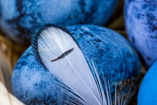 Blue Easter eggs close-up, selective focus, shallow depth of field. Concept, healthy food, spring religious holidays.