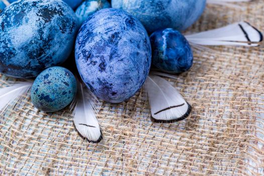 Blue Easter eggs on burlap with feather. Close-up, selective focus, shallow depth of field. Concept, healthy food, spring religious holidays.