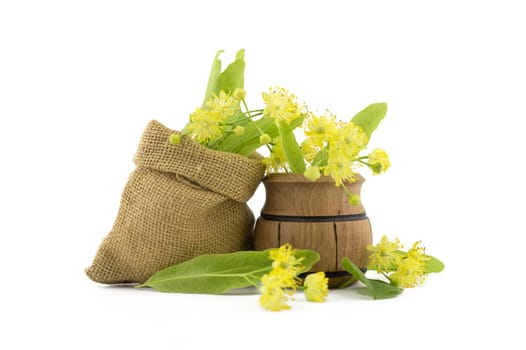 Small wooden pot and small hessian bag of freshly picked yellow linden flowers and leaves, also called tilia and lime, for making a healing tisane or tea over a white background