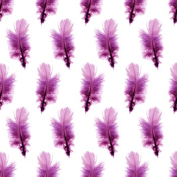 Seamless pattern background with purple feathers over white background