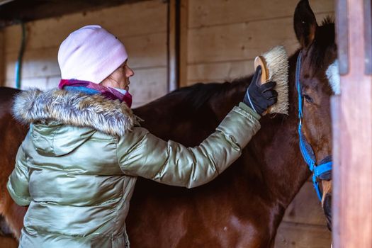 cleaning horses with the help of brushes in the barn.