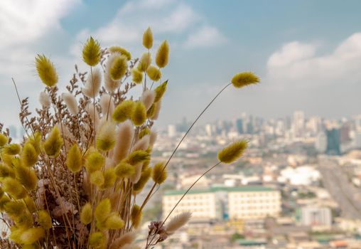 Close-up of Dried flowers with blur city town background. Home decor. Space for text. Selective focus.