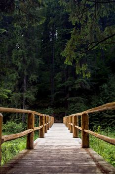 Wooden bridge over the river. Green and dense forest at the end of the bridge.