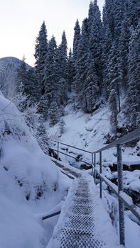 First-person view of a metal bridge in the forest. I walk across a bridge in a snowy gorge, among white rocks and trees. A clear river runs. Mountainous terrain. Snow is falling. Almarasan, Almaty
