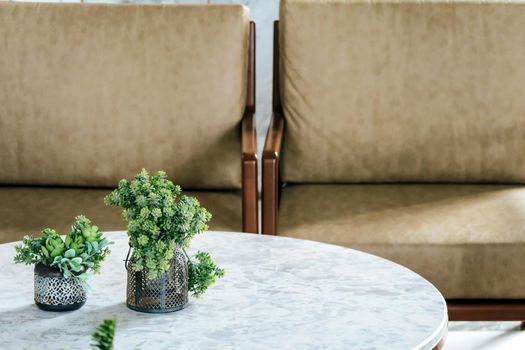 detail of modern living room House plant on coffee table interior decoration