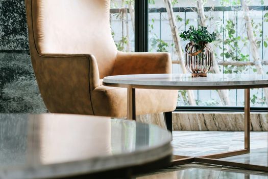detail of modern living room House plant on coffee table interior decoration