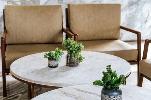 detail of modern living room House plant on coffee table interior decoration