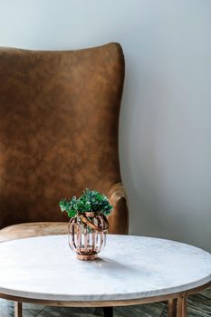 detail of modern living room House plant on coffee table interior decoration