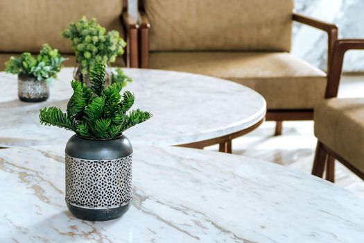 detail of modern living room House plant on coffee table interior decoration