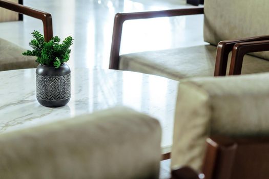 detail of modern living room House plant on coffee table interior decoration